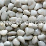 Pebble stone for landscaping pb001