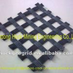 PET geogrid for slope,retaining wall,breakwater,marine and soil reinforcement HKGG600