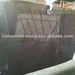 Pietra Grey Marble www.hamistone.com