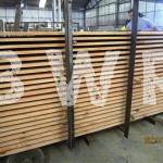 PINE SAWN TIMBER