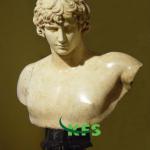 Pio-Clementino Antinous bust roman bust GF-888