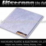 Plastic ceiling and wall panel PY04