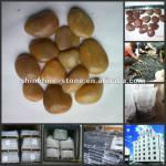 polished yellow pebbles on sale SF-05