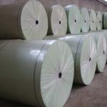 Polyester base cloth 140-220g