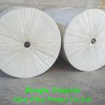 polyester roofing mat 140-220g/m2