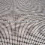 Polypropylene plastic geogrid TGSG