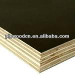 Poplar black film faced plywood 18mm