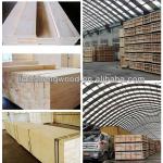 poplar LVL used in packaging,furniture,construction 5000MM length