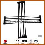 PP or PE Uniaxial Geogrid with CE Certificate TGDG009