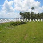 Prime Beachfront Land near Cabarete B-016