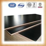 Provide the high quality 18mm brown phenolic film faced plywood manufacturers GIGASY00088