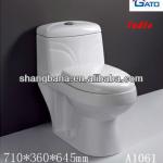 push botton flush Washdown cheap one piece toilet design A1061 A1061