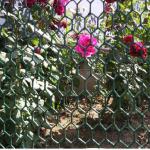 pvc coated galvanized hexagonal wire mesh (factoy) sxc-3