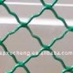 PVC coated window wire mesh (23 years factory ) XC95154