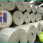 PYG Polyester felt Non woven polyester mat fiberglass PYG