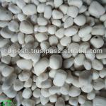 Quartz White Pebble MM - 9824