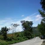 Raw Land along Marcos Highway, Pugo, La Union