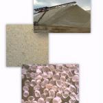 Raw Sand: