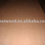 Red Beech Plywood 4&#39;X8&#39;X15MM,18MM