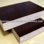 red/black/brown film faced plywood/shuttering plywood/marine plywood PY-008