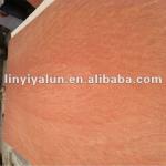 red face plywood for Africa market -