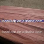 red hardwood veneer for plywood making hardwood veneer