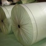 reinforced polyester mat 140-220g