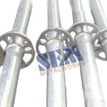 ringlock scaffolding vertical S-VP05