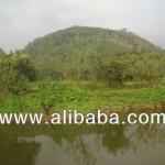 RIVERFRONT LAND FOR SALE IN PITIGALA +94714163819