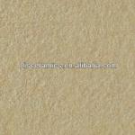 Rough Glazed Porcelain Floor Tile (600*600) 6VJZ061