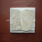 rough paving stone/tactile paving stone/useful non-slip paving stone WT