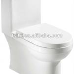 sanitary ware siphonic one-piece toilet(KL269010) SH269010