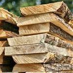 sawn timber