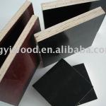 Sell Film Faced plywood