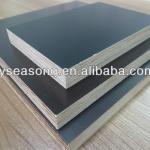 Shandong Linyi Laminated Wood Beams Plastic Formwork,Eucalyptus Plywood for Construction 1220*2440mm