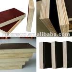 shuttering plywood 2000*6000*18mm for Germany market 2000*6000mm