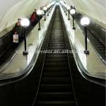 Sicher Passenger Escalator with CE and GOST GRE30