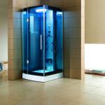 Simple beautiful Shower enclosure / shower cabin / shower room BR-301E