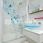 Simple Design Shower Door, Shower Door with Designs LUX 1100