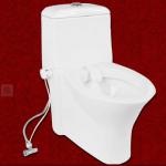 SMART bidet toilet in the world Cold water non electrical micro bidet HS-B8100 8100