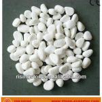 Snow White Pebbles (Factory Price + Timely Delivery)