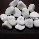 Snow White river pebbles Nature white cobbles Snow white cobbles pebbles