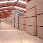 (SONCAP)8mm High Strength Gypsum Board