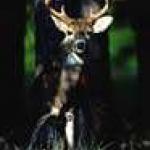 South Carolina Hunting Preserve 800 Acres Great Buy!