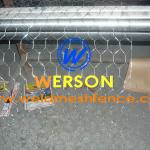 Stainless Steel Hexagonal Wire Netting SSHWN