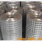 stainless steel welded wire mesh SX/1