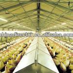 Steel Chicken Poultry Shed Design DFX-S03