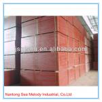 Strong Construction wood Formwork for concrete walls SMCF