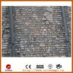 Tensar Geogrid/HDPE Uniaxial Geogrid for Construction with Cheap Price and CE Certification TGSG038