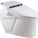 toilets with built-in bidet smart toilet one-piece toilet RSD-BDY-1002